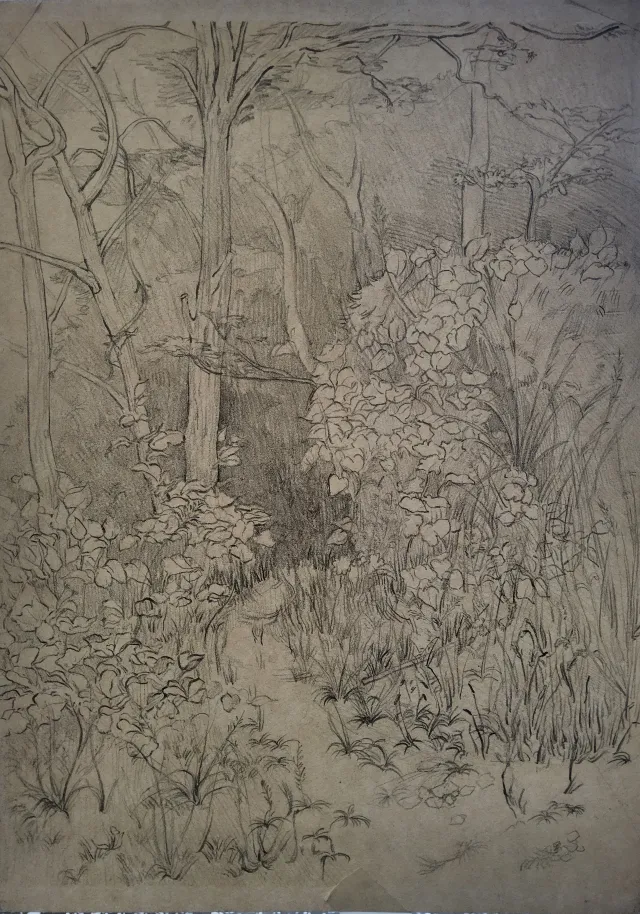线性场景